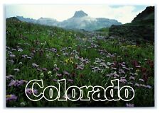 Postcard Mountain flowers at Governor's Basin near Ouray CO K19 picture