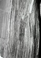 Wood Grain Closeup Two Original 35 mm Monochrome (B&W) Negatives picture
