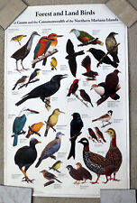 Forest And Land Birds Of Guam and the CNMI ~ 22x 34