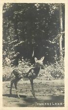 Postcard RPPC Wisconsin Conners Lake 1920s Deer real photo 23-2474 picture