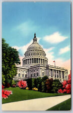 U.S Capitol Washington DC Postcard Chrome picture