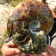 1.18LB Rare Natural Tentacle Ammonite FossilSpecimen Shell Healing Madagas picture