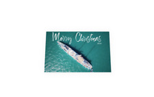 Cruise in the Blue - Greeting Card (10 Pack) picture