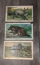 Victorian Trade Cards Arbuckle Bros Coffee 1890's Lot 3 Animals New York Antique picture