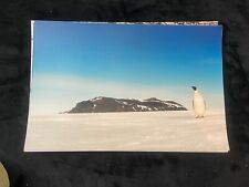 Antarctica Photography Photo I  8