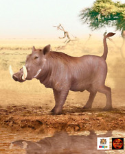 Warthog African Wildlife Toy Model Figure 381031 by Mojo Animal Planet New picture