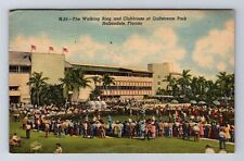 Hallandale FL-Florida, Ring And Clubhouse, Gulfstream Park, Vintage Postcard picture
