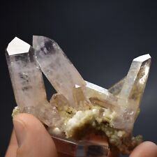 Natural Amethyst Crystal Cluster (Veracruz, Mexico) -  #321 picture